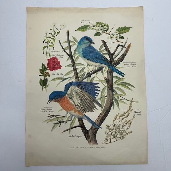 Vintage MCM Arthur Singer Series of Paintings American Home Magazine #'s 1,2,&6 - Picture 7 of 16